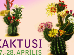 2014_09_kaktusii-2013-media-large.jpg