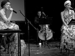 Koncerta publicitātes foto