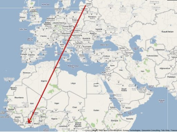 Karte: zivjērgļa ligzdošanas vieta Latvijā un ziemošanas vieta Āfrikā