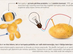 2014_09_kartupelis-media-large1.jpg