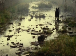 2014_09_kino-media-large.jpg