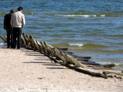 Kolkas krastā izskalotā burinieka atlūza. Foto: Evija Trifanova, LETA