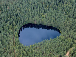 Latvijas mežs un ezers. Foto: Rūta Kalmuka, F64