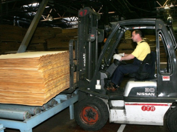 "Latvijas finnieris" ražo saplāksni. Foto: Ieva Čīka, LETA