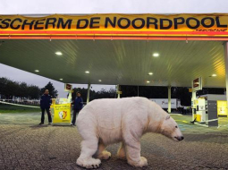 "Greenpeace" aktīvisti kādā Dānijas pilsētiņā stāv pie leduslāča izbāzeņa, protestējot pret naftas kompāniju "Shell" un norādot uz globālās sasilšanas sekām. Foto: AFP/LETA