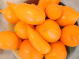 Foto - Ieva Čīka, LETA