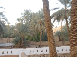 Ghadamesa mani sagaidīja, kā no arābu pasakas izkāpusi. Autores foto