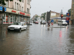 Mārtiņš Zilgalvis, F64