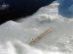 Zinātnieku atrastās meteorīta daļiņas. Foto: AFP/LETA