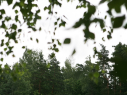 Foto: Andrejs Strokins, F64