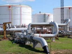 Lauris Nagliņš, LETA