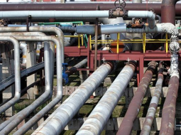 Lauris Nagliņš, LETA