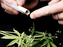 Kristaps Kuhaļskis, F64