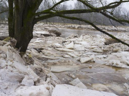 Ledus sastrēgums Ogres upē. Foto: Raimo Lielbriedis, F64