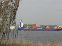 Osta. Foto: Jānis Saliņš, F64