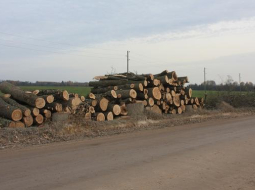 Foto: Dacīte Beķere