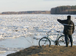Ledus sastrēgums Daugavā pie Pļaviņām pērn. Foto: Raitis Plauks, F64