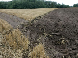 Gatis Dieziņš, LETA