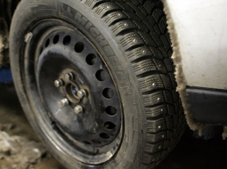 Riepa. Foto: Ieva Čīka, LETA