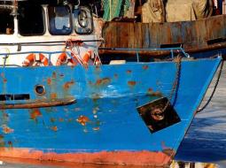 Gatis Rozenfelds, F64