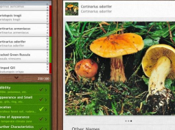 Ekrānšāviņš no http://naturemobile.org/