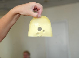 Siera šķēle. Foto: Lita Krone, LETA