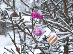 Foto: Andrejs Strokins, F64