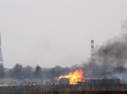 Spilve deg. Foto: Kaspars Krafts, F64