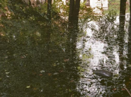 Izrādes publicitātes foto. Foto - Aigars Sērmukšs