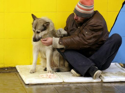 Ubags ar suni Rīgas gājēju tunelī. Foto: Evija Trifanova, LETA