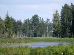 Foto: Lauris Nagliņš, LETA