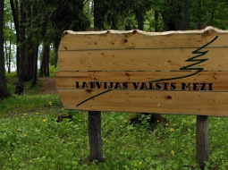 Latvijas Valsts meži. Foto: Edijs Pālens, LETA