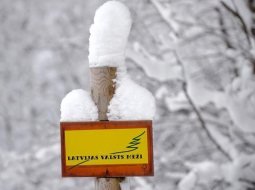 Latvijas Valsts mežu logo. Foto: Evija Trifanova, LETA