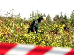 Andrejs Terentjevs, F64