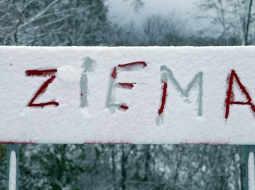 Foto: Edijs Pālens, LETA