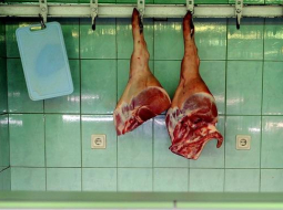 Foto: Ieva Lūka, LETA