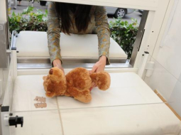 Foto: Lita Krone, LETA