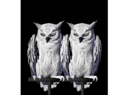 Norvēģu mākslinieces Annas Lislegordas darbs "Orākuls, pūce...daži dzīvnieki neaizmieg nekad". Izstādes publicitātes foto