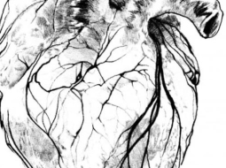 Izrādes publicitātes attēls