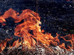 Kūla deg. Foto: Toms Zariņš, F64