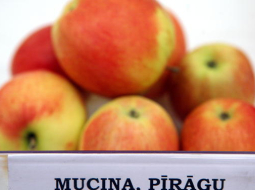 Foto no 2011.gada izstādes Dabas muzejā. Foto Evija Trifanova, LETA