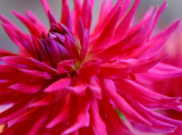 Foto Evija Trifanova, LETA