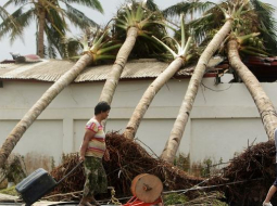 Filipīnieši iet garām taifūna izgāztajām palmām. Foto: EPA/LETA