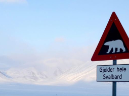 Ziemeļpola tuvumā Svalbardā, Norvēģijā, ceļa zīme rāda, ka jāuzmanās no leduslāčiem. Foto: AFP/LETA