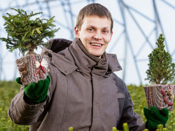 Kad 90.gadu beigās  tika uzbūvēta 500 kvadrātmetru siltumnīca, toreiz tas «šķita kaut kas fantastisks, neticams!» atceras Jānis Zvejnieks. Tagad kokaudzētavā zem plēves ir ap 17 000 kvadrātmetru.