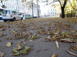 Iela Rīgā. Foto: Kaspars Krafts, F64