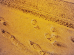 Foto: Ieva Lūka, LETA