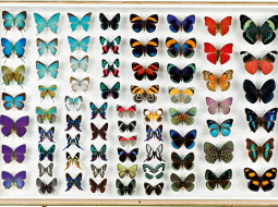 Foto — Imageforum/LETA