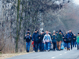 Kosoviešu imigrantu grupa ceļā uz Vāciju pēc nelegālas Serbijas un Ungārijas robežas šķērsošanas šā gada februārī. Gada sākumā Kosovā un Albānijā paklīda baumas, kā Vācija meklē ārzemju viesstrādniekus.