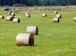 Foto: Rūta Kalmuka, F64
